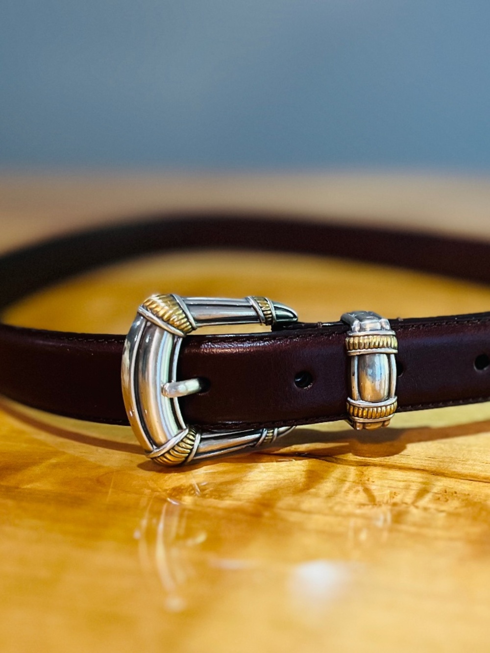 Fossil Genuine Leather Dark Brown Belt Silver & Gold Buckle Size Medium